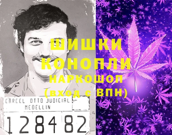 PSILOCYBIN Корсаков