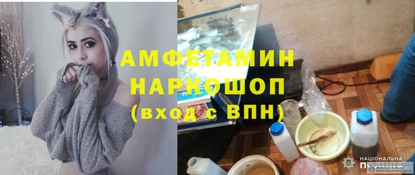 стаф Козловка