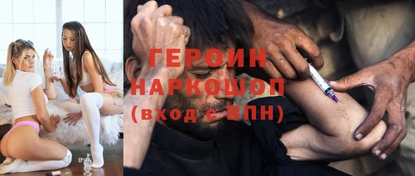 стаф Козловка