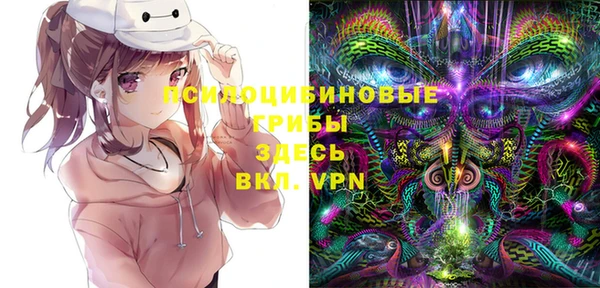 первитин Кодинск