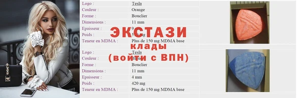 стаф Козловка