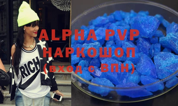 стаф Козловка