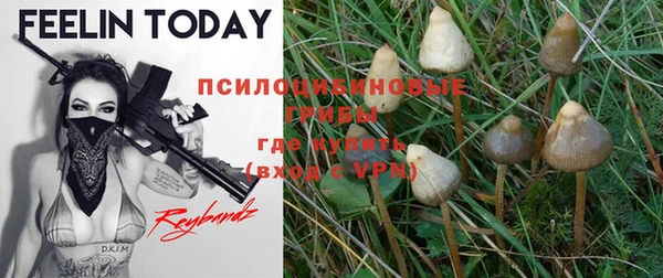 PSILOCYBIN Корсаков