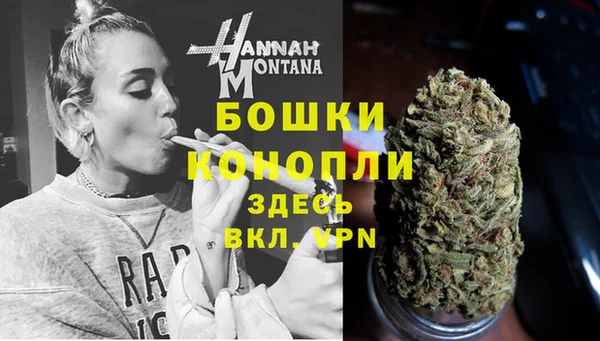 стаф Козловка