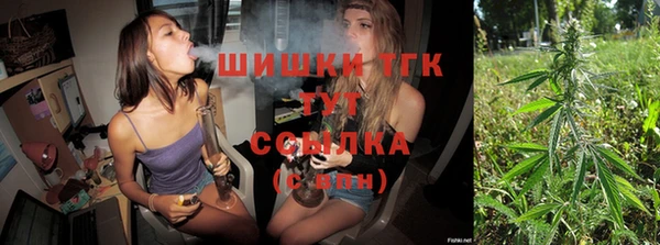 PSILOCYBIN Корсаков