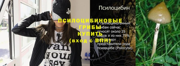 первитин Кодинск