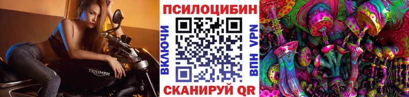 Псилоцибиновые грибы GOLDEN TEACHER  как найти закладки  Мариинск 