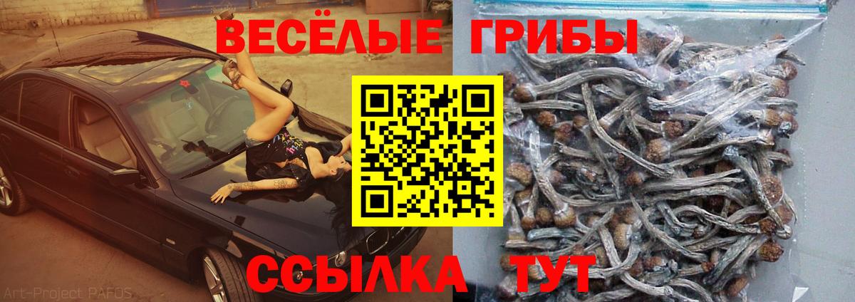 Галлюциногенные грибы MAGIC MUSHROOMS  Вход с VPN  Мариинск 